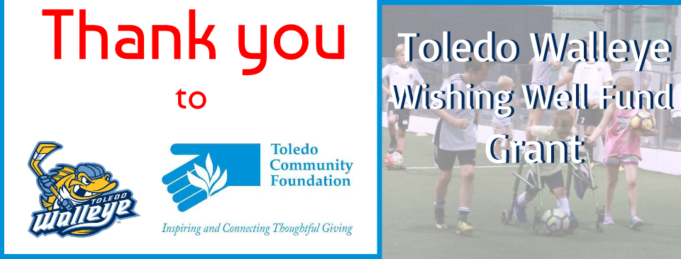 Special thank you to Toledo Community Foundation & Toledo Walleye!